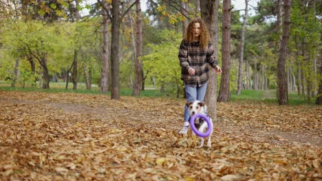 young woman training her jack russell terrier in nature, throwing the rubber ring