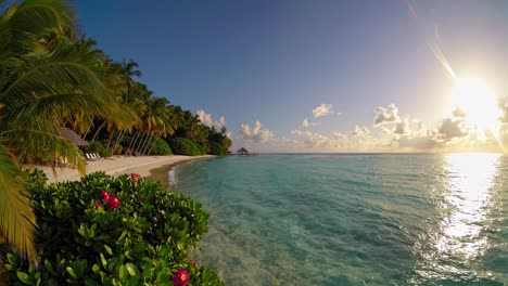 aerial video captures a tropical beach at sunrise, with lush palm trees and clear blue waters