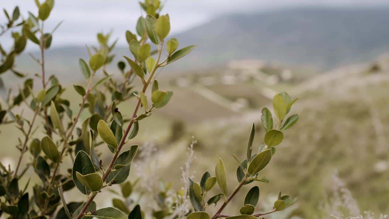 Italian Countryside Landscape