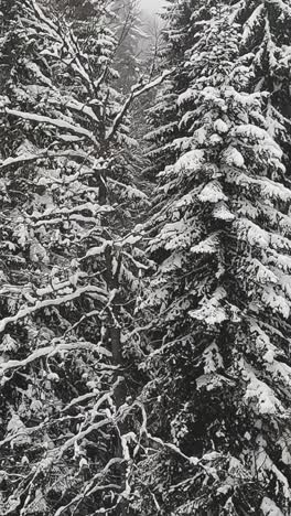 Vertical-Video-Of-Snow-Covered-Trees-On-Mountain-From-Ski-Chair-Lift