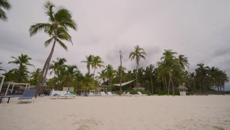 Paradise-beach-with-palm-trees-under-a-cloudy-sky