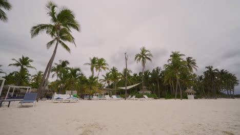 playa del paraíso con palmeras bajo un cielo nublado