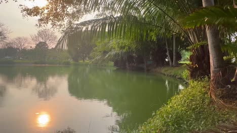 a calm lake reflecting the soft light of the setting sun, framed by palm trees and dense greenery along the water’s edge
