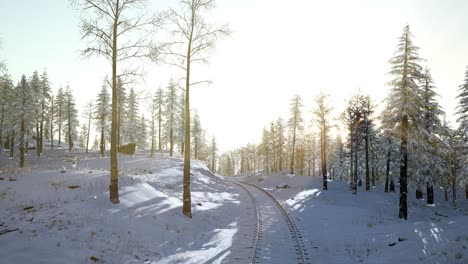 flight above winter forest