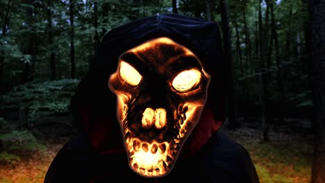 close up view of grim reaper skull face on fire in the forest