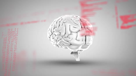 animación del cerebro humano y procesamiento de datos sobre fondo de luz