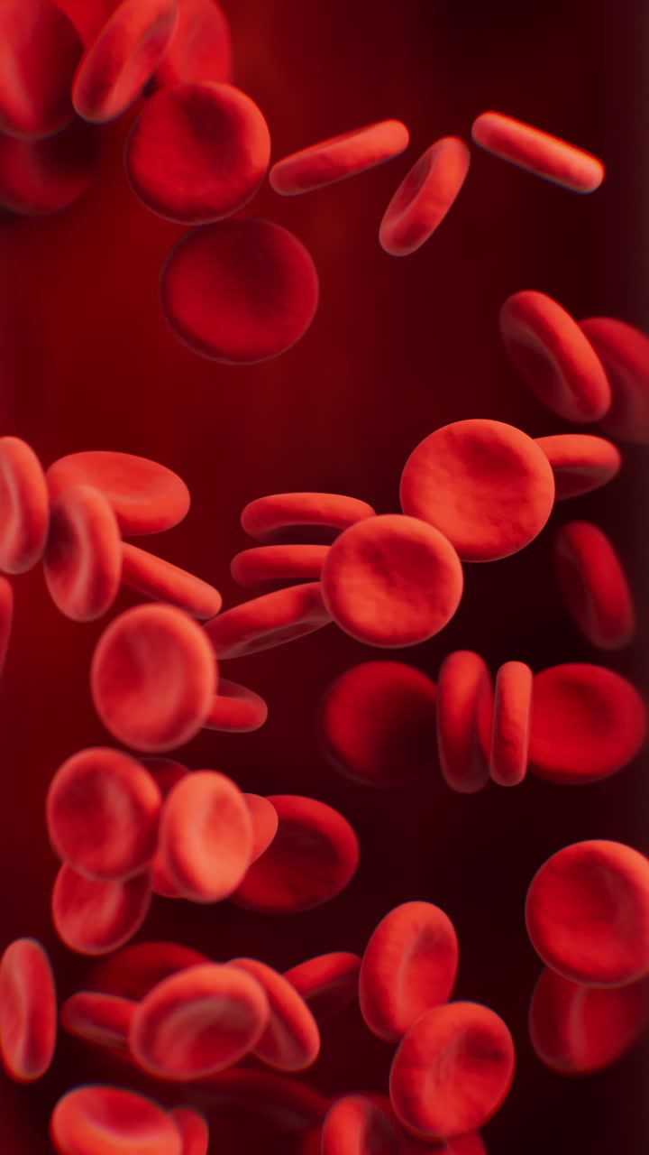 Red blood cells with biological and medical concept, 3d rendering