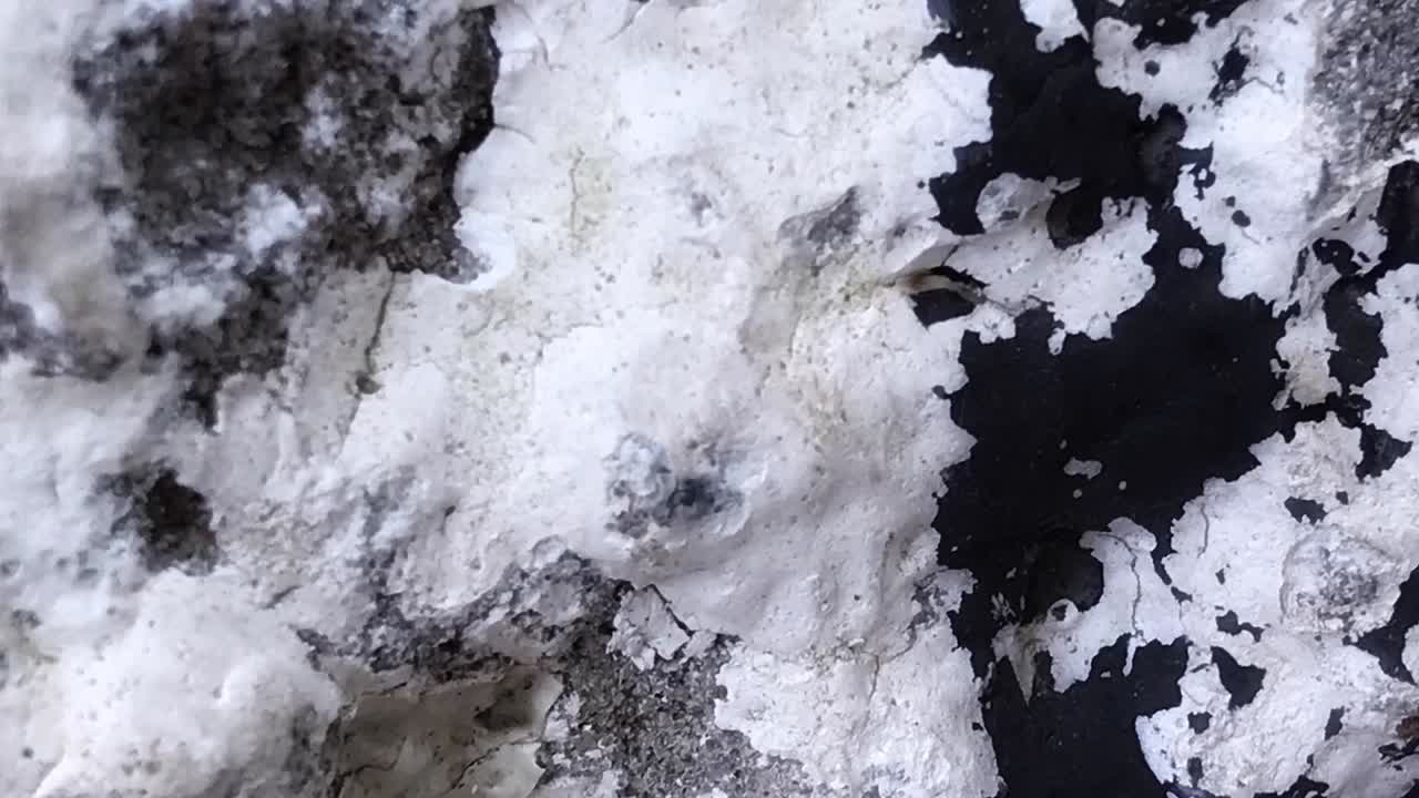 흑백 돌 질감 확대 및 축소