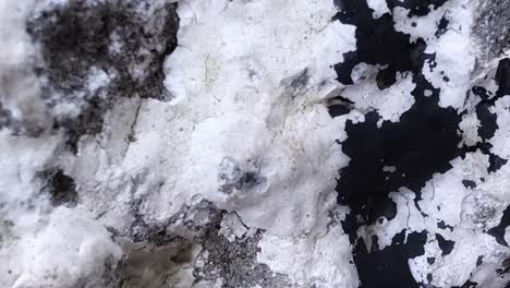 acercando y alejando la textura de piedra en blanco y negro