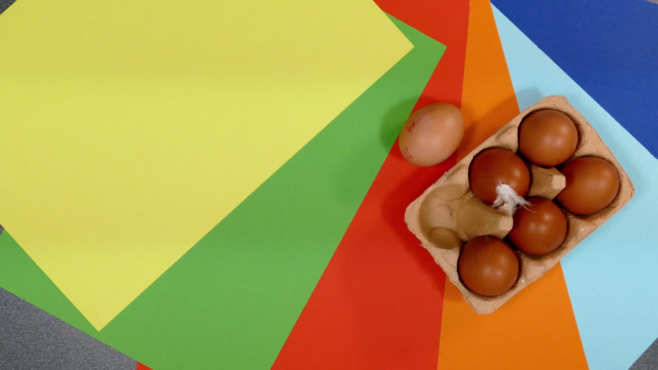Ovos de galinha em bandeja sobre fundos coloridos
