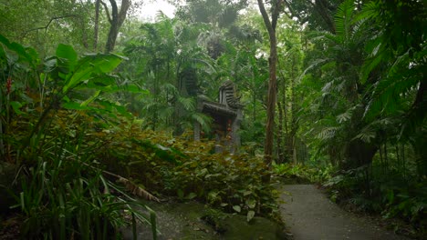 Video-De-Plantas-Increíbles-De-Un-Jardín-Botánico-En-Victoria-En-La-Isla-De-Mahe-En-Seychelles