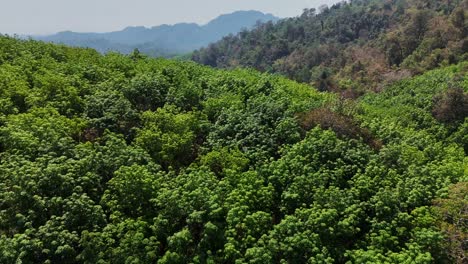 A-breathtaking-view-of-Khao-Laem-National-Park,-with-its-beautiful-green-forests,-mountains,-and-winding-roads