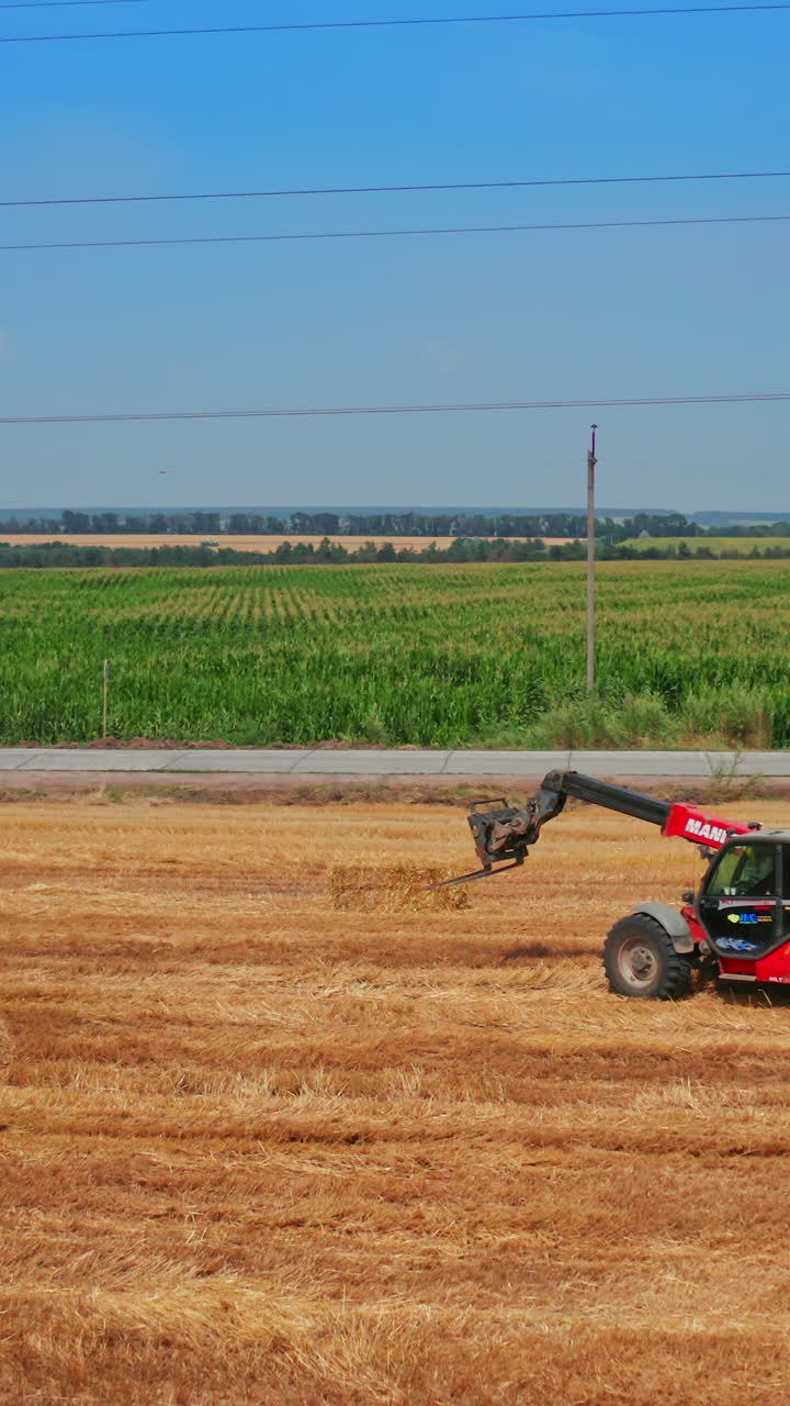 Tractor goes by the mowed field followed by the little excavator. Skid steer loader picks hay bales to upload them onto vehicle. Vertical video