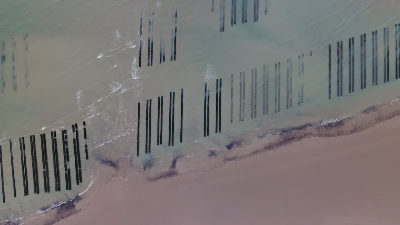 Flying closes to far vertical drone shot over oyster farm in Normandy France