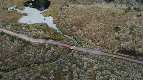 hikers cross on small bridge over the stream flowing to the mountain hills with vegetation in cayambe coca ecological reserve in napo, ecuador