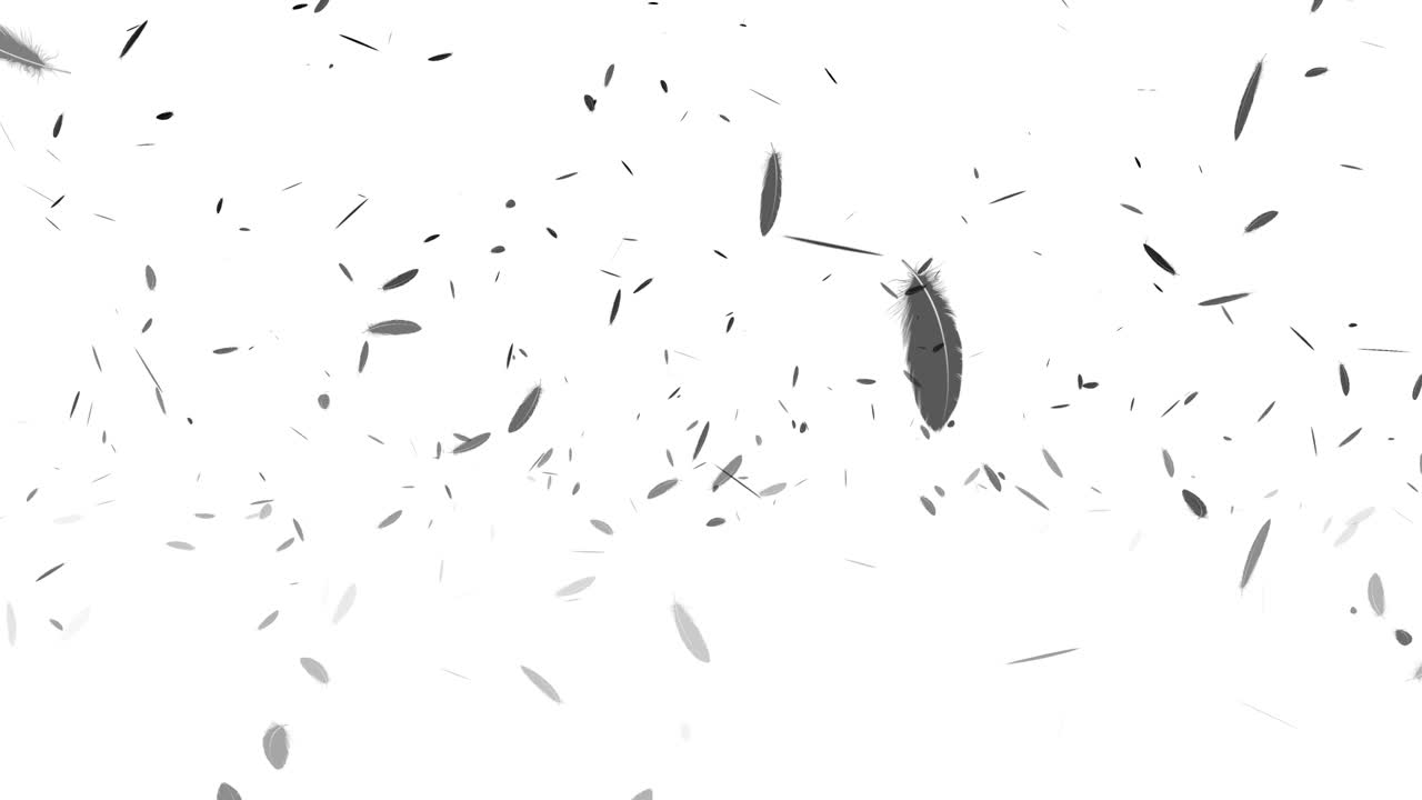 검은 털 날아다니는 입자 모션 그래픽