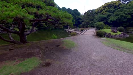 pov caminando en el parque yoyogi