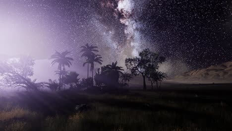 la galaxia de la vía láctea sobre la selva tropical