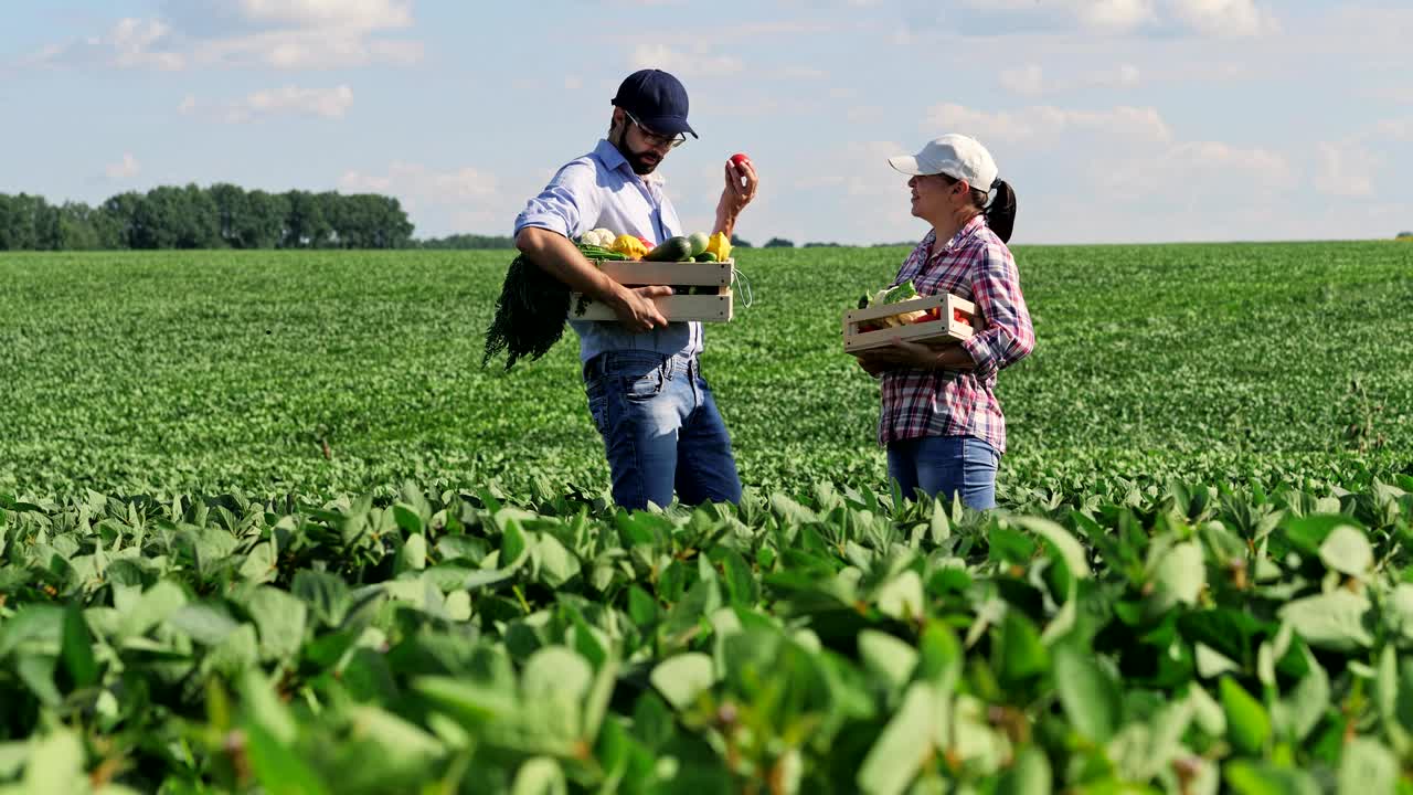 hombre y mujer con una caja de verduras en el medio de un campo verde