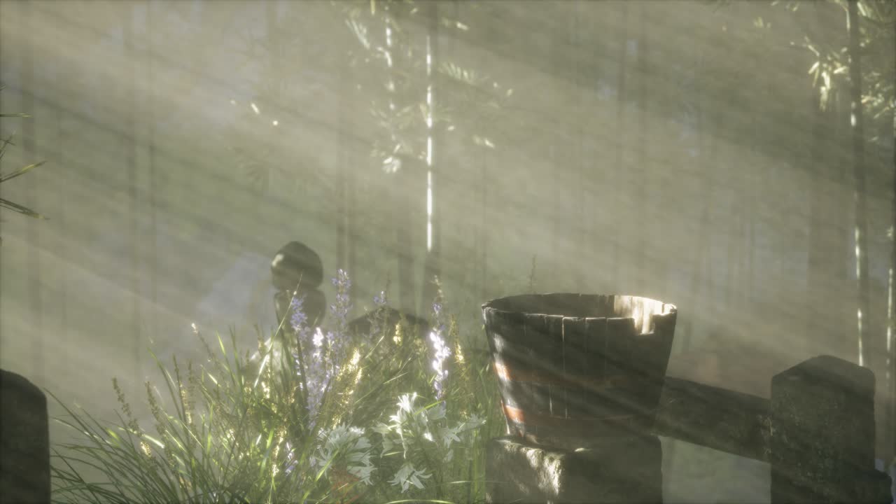 bosque de bambú de japón y hierba verde de prado con luz natural