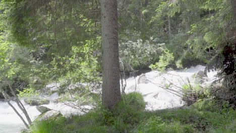 Pequeña-Cascada-Y-Arroyo-En-El-Bosque-De-Los-Alpes-Italianos-En-Verano,-Cámara-Lenta-100-Fps