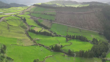 Aerial-view-of-a-green-countryside-with-pastures