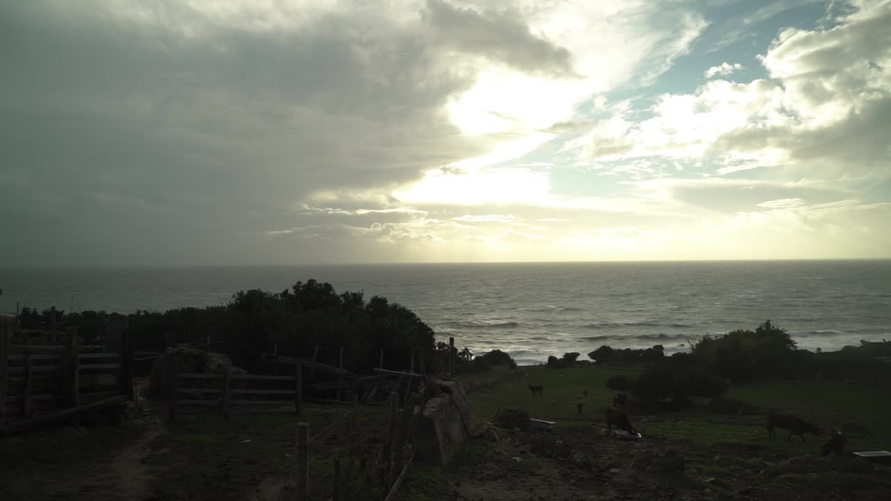 소와 반이는 해가 지는 웅장한 해안 농장,  오른쪽 전망