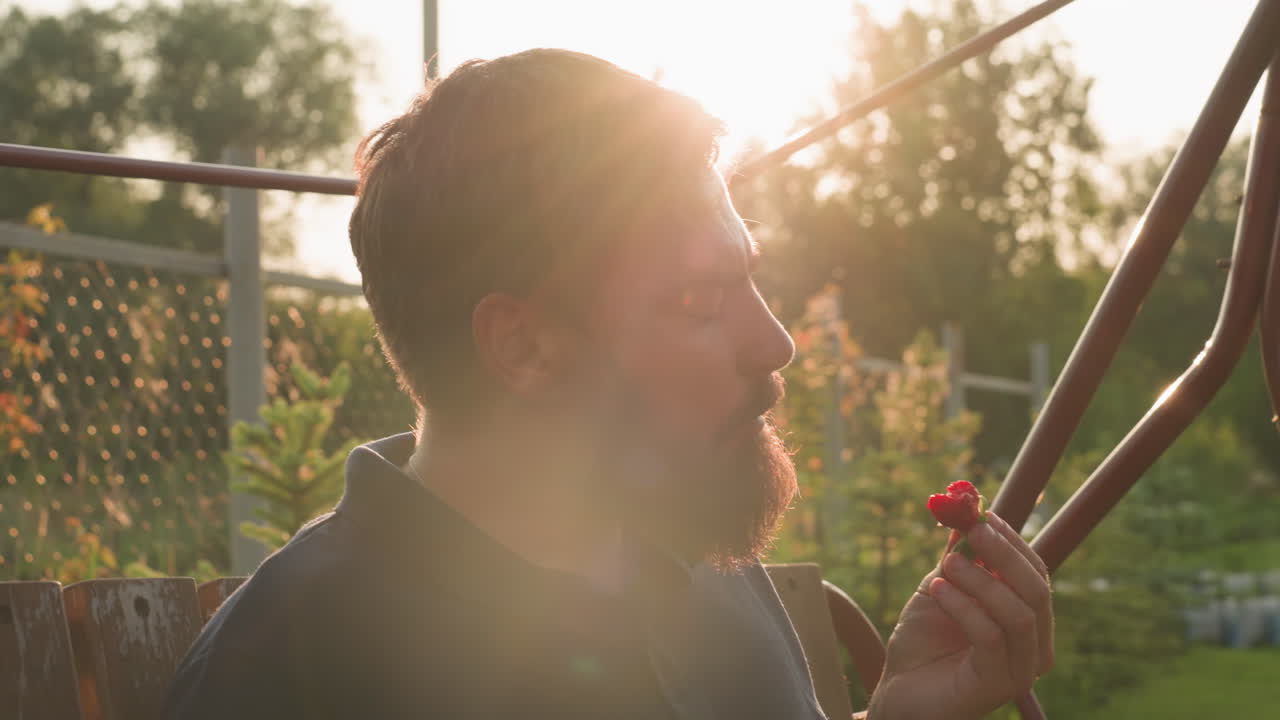 close up of man eating ripe strawberry with contemplative expression on rustic swing bench against sunlit garden backdrop, warm golden light caressing beard and foliage