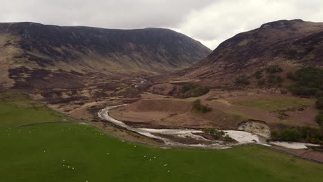 Aerial-view-of-Isle-of-Arran-countryside-and-sheep-in-fields-near-Catacol-on-an-overcast-day