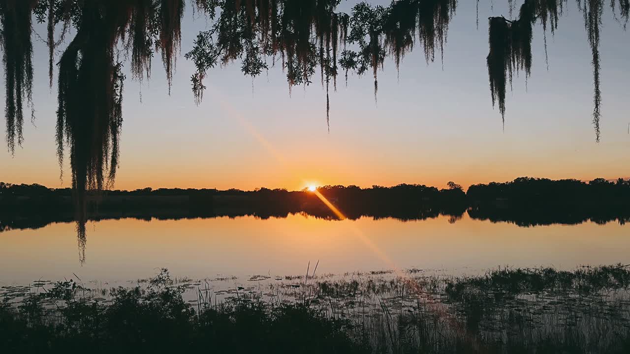 스페인 모스 가 있는 호수 위 에 해 가 지는 것