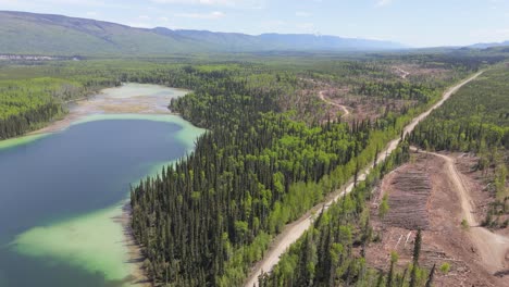 drone footage of deforestation in the canadian forest. river running next to the mountains in a village of indiginous tribes