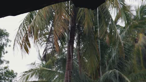 rain dripping from the roof with tropical palm trees in the background