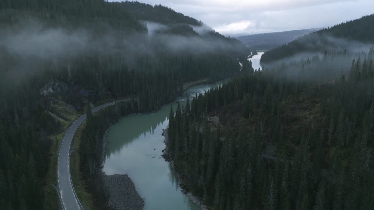 Misty river winding through a forested valley at dawn, aerial view