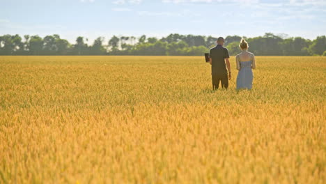 Farmers-walking-in-wheat-field.-Agricultural-workers-in-beautiful-yellow-field