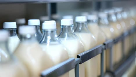milk bottles on a shelf