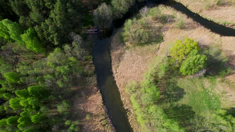 vista desde arriba de un río salvaje y un bosque, aérea