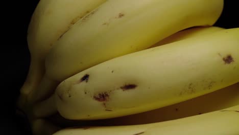 yellow banana bunch isolated on studio black background, closeup pan left