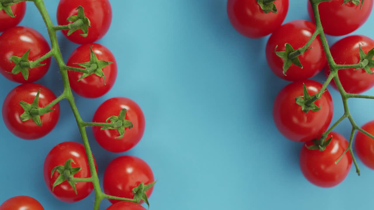 video de tomates cerezos frescos con espacio de copia en fondo azul
