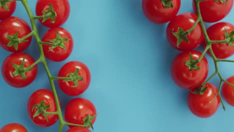 Vídeo-De-Tomates-Cherry-Frescos-Con-Espacio-Para-Copiar-Sobre-Fondo-Azul