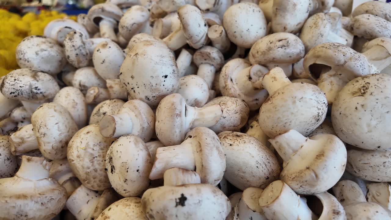 Pile of Fresh White Mushrooms