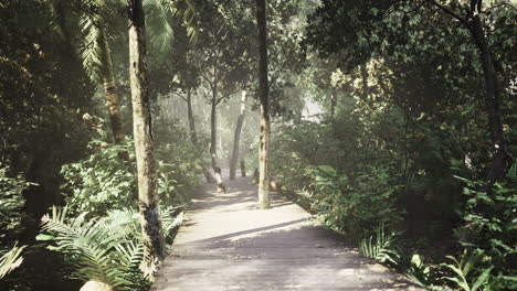 mystical forest pathway invites exploration through lush greenery at dawn