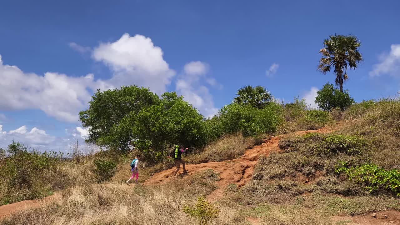 Hikers on a Sunny Hillside Trail
