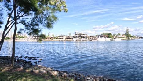 riverbank view with trees and city buildings