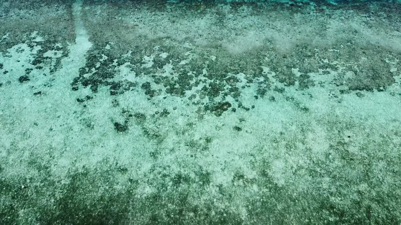 impresionantes aves aéreas vista a simple vista del ecosistema de arrecifes de coral en las aguas cristalinas del océano en raja ampat, papúa occidental, indonesia