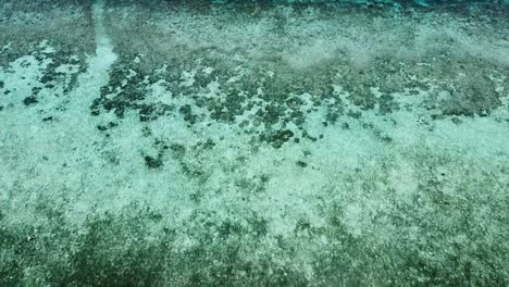 Stunning-aerial-birds-eye-view-of-coral-reef-ecosystem-in-crystal-clear-ocean-water-in-Raja-Ampat,-West-Papua,-Indonesia