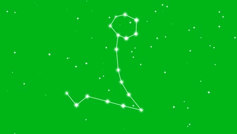 representation of zodiac sign pisces with twinkling stars on green screen background