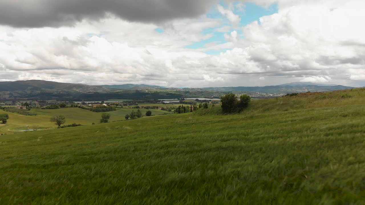 drone disparó paisaje italiano con campos de trigo balanceándose, 4k