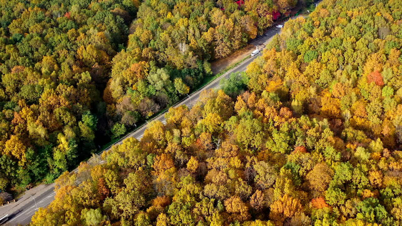 Colorful treetops and a highway at sunlight. Natural scenery of autumn woods. Road with cars in the forest. Top aerial view.