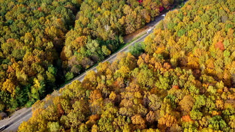 colorful treetops and a highway at sunlight. natural scenery of autumn woods. road with cars in the forest. top aerial view.