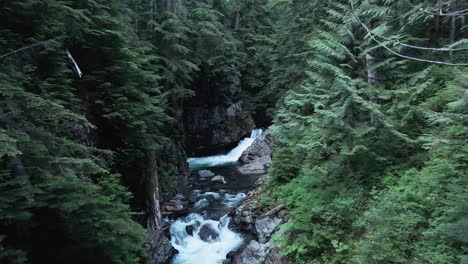 scenic backwards motion shot over small flowing waterfall and river through evergreen forest in the pacific northwest